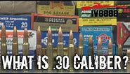 Firearms Facts: .30 Caliber Explained
