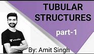 TUBULAR STRUCTURES PART 1 / design tubular steel structure By Amit Singh
