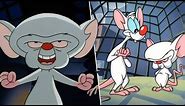 Pinky and the Brain Best Moments
