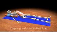 Diaphragmatic (Belly) Breathing