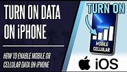 How to Turn ON Mobile/Cellular Data on iPhone (iOS)