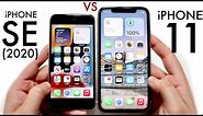 iPhone SE (2022) Vs iPhone 11! (Comparison) (Review)