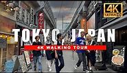 🇯🇵 Tokyo Japan Walking Tour 🇺🇸 Ameyoko Markets & Ueno Shopping Street [4K HDR - 60FPS ]