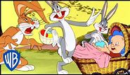 Looney Tunes | The New Easter Bunny...Hooray! | Classic Cartoon | @wbkids