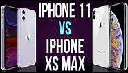 iPhone 11 vs iPhone XS Max (Comparativo)