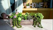 Winlyn 22 Pcs Bulk Artificial Succulents Plants Unpotted Small Aloe Hanging String of Pearls Cactus Green Fake Succulents for Succulent Garden Arrangement Centerpiece Wall Indoor Outdoor Home Decor