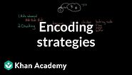 Encoding strategies | Processing the Environment | MCAT | Khan Academy