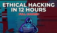 Ethical Hacking in 12 Hours - Full Course - Learn to Hack!