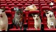 so true # relatable #cat #memes @CrayZ_TV