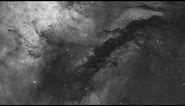Dark Nebulae in Cygnus