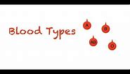 Blood Types Explained: Easy and Simple