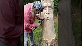 tree trunk carving