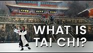 What is Tai Chi? Taoist Master Explains History, Philosophy and Benefits of Taiji Quan