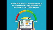 Understanding the CIBIL Score and Report | TransUnion CIBIL