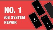 #1 iPhone iOS System Repair Software. Fix All iOS 13 Stuck Issues