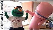 Boston Red Sox Apparel by vineyard vines | Presented by Wally the Green Monster