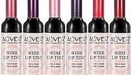 Lip Gloss Mini Makeup Set, 6 Colors Lip Plumper Gloss Liquid Lipstick, Red Wine Lip Tint Stain Lip Oil Long Lasting Waterproof, Juicy Bomb Lip Gloss Pack