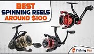 8 Best Spinning Reels Around $100