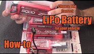 Choose The Correct LiPo Battery for Your Vehicle - How-To