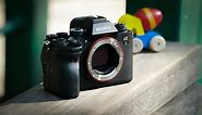 Sony Alpha 1 review: everything nice at an expensive price
