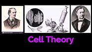 CELL THEORY/ CELL BIOLOGY / SCHWANN/ Robert Hooke/Anton van Leeuwenhoek