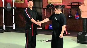 Scott Rogers Authentic Pressure Point - Volume 1: Fundamentals of Pressure Points: Arms and Set Ups