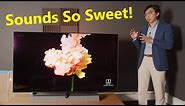 Philips OLED+935 with Bowers & Wilkins Sound 1st Look [PROMOTED]