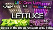 White LED vs Red Blue White LED Grow Test w/Time Lapse - Lettuce Ep.1