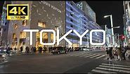 【4K HDR】Night Walk in Tokyo Ginza to Apple Store