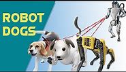 Watch the World's Most Advanced Robot Dogs in Action!