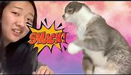 Girl's cat smacks her in the face when she tried to talk to him.