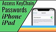 How to Access, Update N Recover Your KeyChain Passwords On Your iPhone, iPad, and iOS Devices | 2020