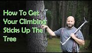 How To Get Your Climbing Sticks Up The Tree