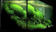 Aquascaping - Aquarium Ideas from The Art of the Planted Aquarium 2011, part 1