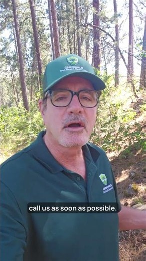 Intro to Greenshield Tree Health 1