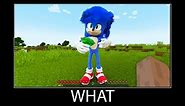 Minecraft wait what meme part 212 realistic minecraft Sonic the hedgehog