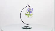 Ornament Display Stand, Holder Ornament Hanger Stands Glass Ball Ornament Holder Ornament Stands for Hanging Plants, Hanging Terrarium Stand for Christmas Wedding Ornament, Home Office Decor