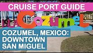 Cozumel, Mexico Cruise Port Guide: Downtown San Miguel (Punta Langosta)