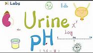Urine pH - Urinalysis - Labs