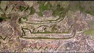 The Kaingaroa Rock Carvings - A Little Known Secret - Ancient New Zealand