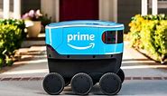 Meet Scout, Amazon's new delivery robot 