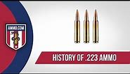 223 Ammo: The Forgotten Caliber History of 223 Ammo Explained