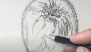 How to Draw an Apple Step by Step - Improve Drawing