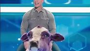 John Cena's Epic Partnership with a Purple Cow Revealed! WWE Superstar Unveils Surprising Team-Up!