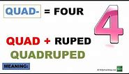 Vocabulary Lesson: Numerical Prefixes 1-9