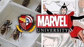 The Wasp: The Science of Wasps | Marvel University