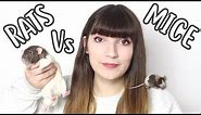 🐀 RATS Vs MICE 🐁| Which one should you get?