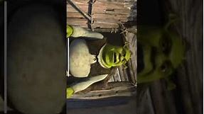 What are you doing in my swamp remix