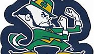 Fanmats 8329 Notre Dame Fighting Irish Nylon Mascot Shaped Rug