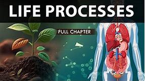 Life Processes Class 10 full Chapter (Fully Animated) | Class 10 Science Chapter 6 | CBSE | NCERT